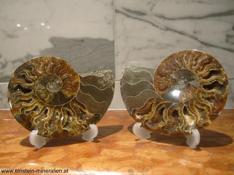 Ammonitenpaar B 0,262kg